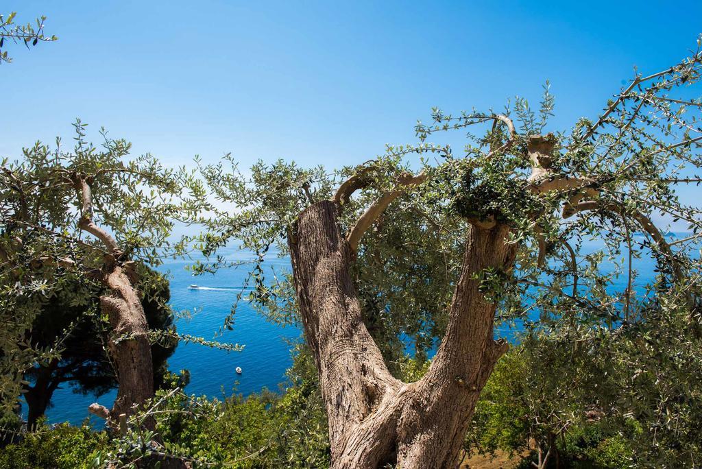 Villa De Rosa Positano Exteriér fotografie